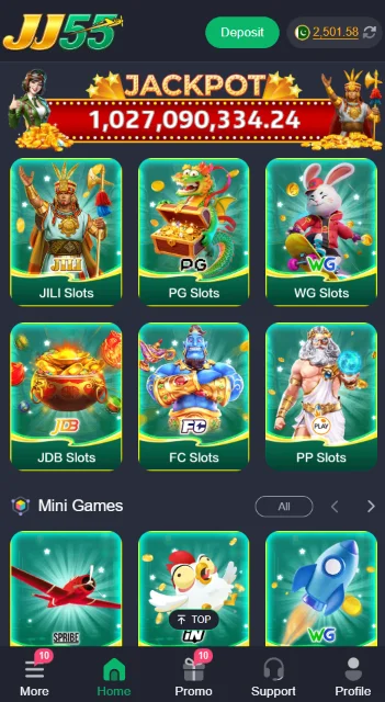jj55.com