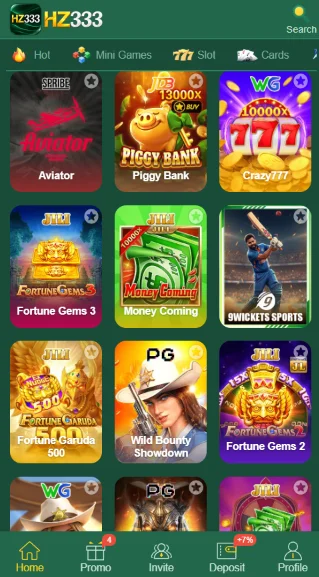 Hz333 Game
