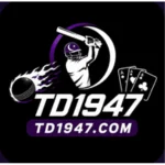 TD1947 Game