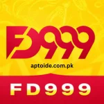 FD999 Game